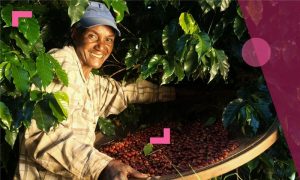 Rethinking Resilience in Brazil’s Impact Ecosystem 